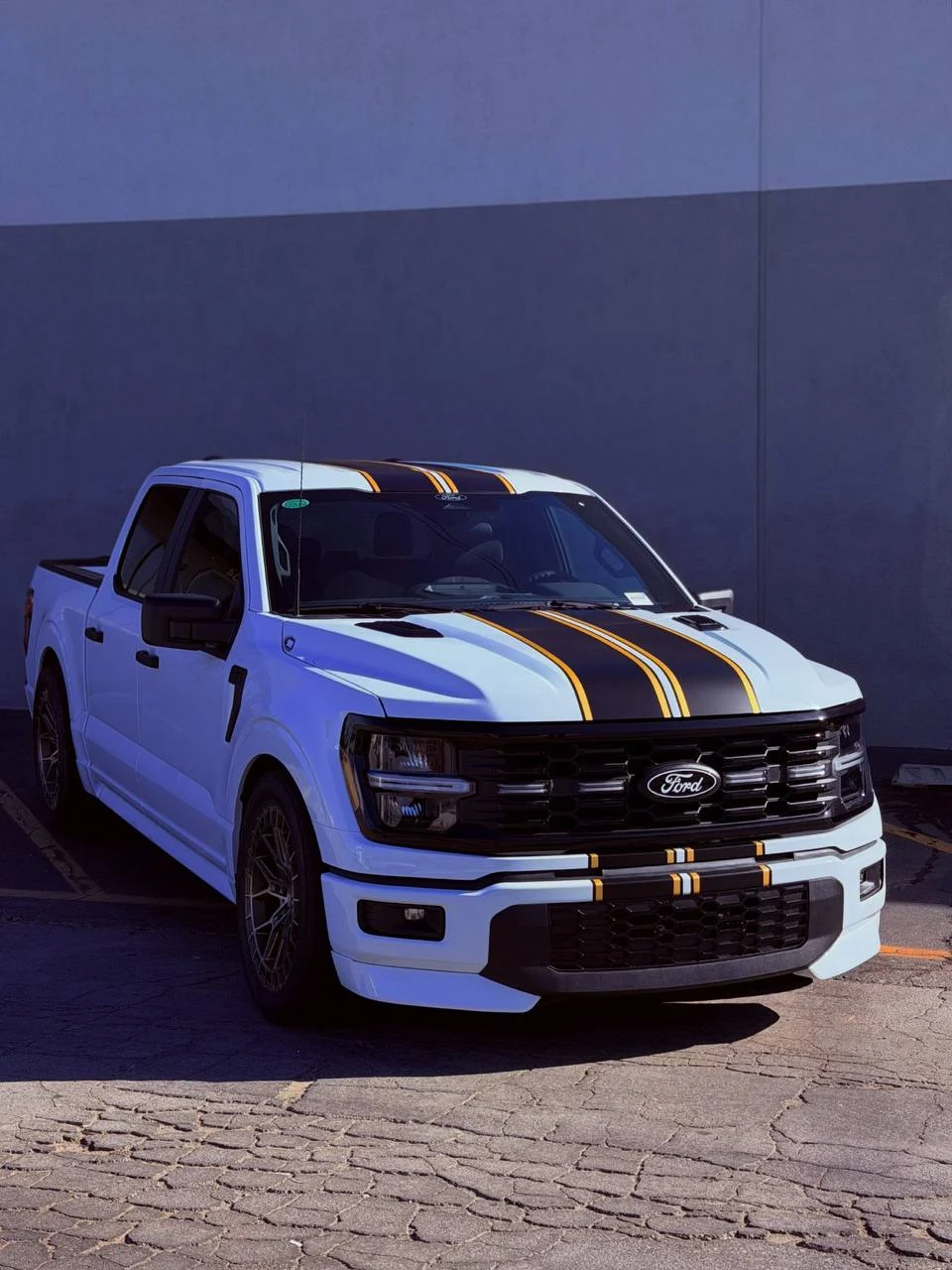FORD F-150 LOBO — CUSTOM STRIPES, photo 1