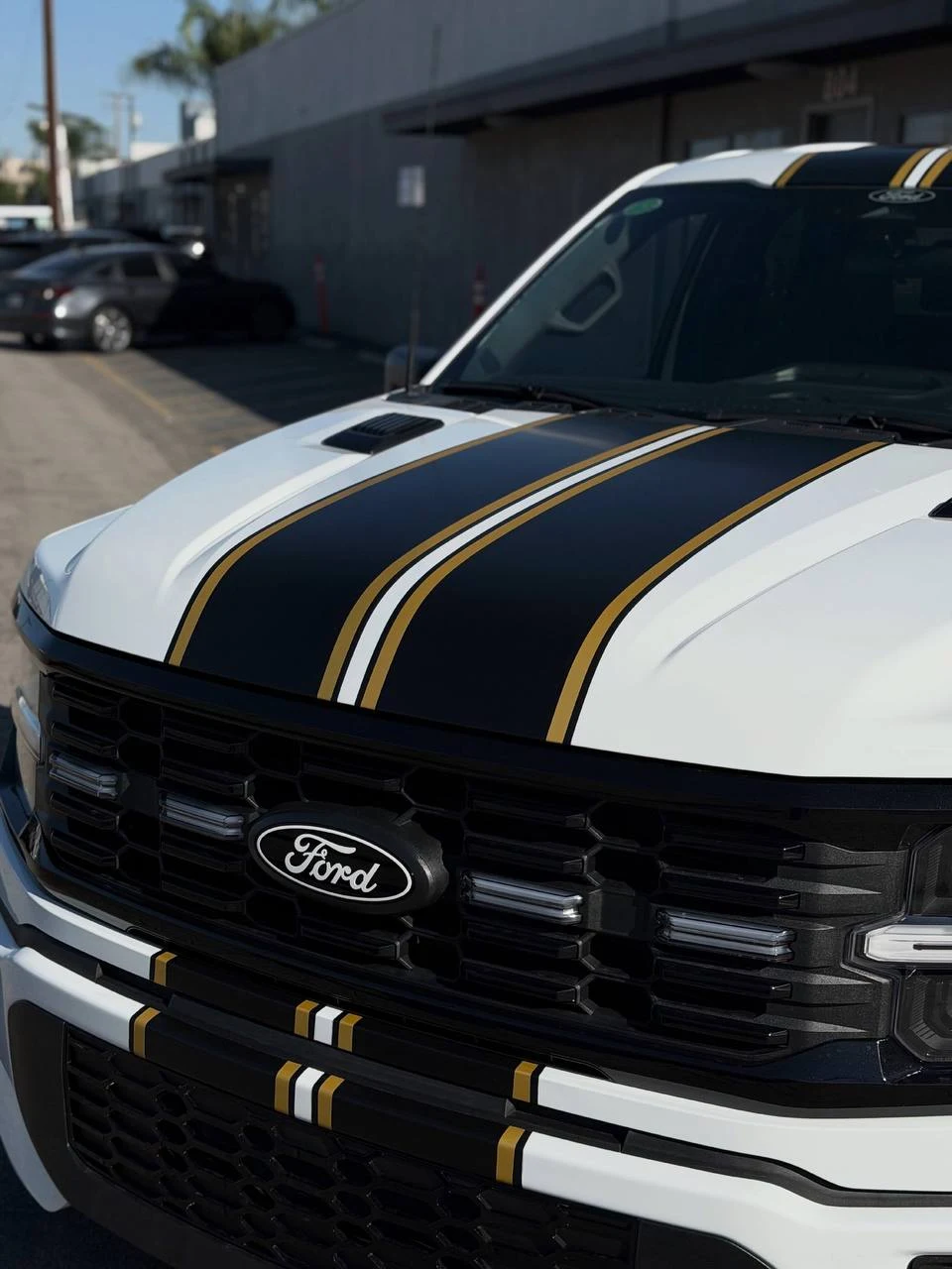 FORD F-150 LOBO — CUSTOM STRIPES, photo 2