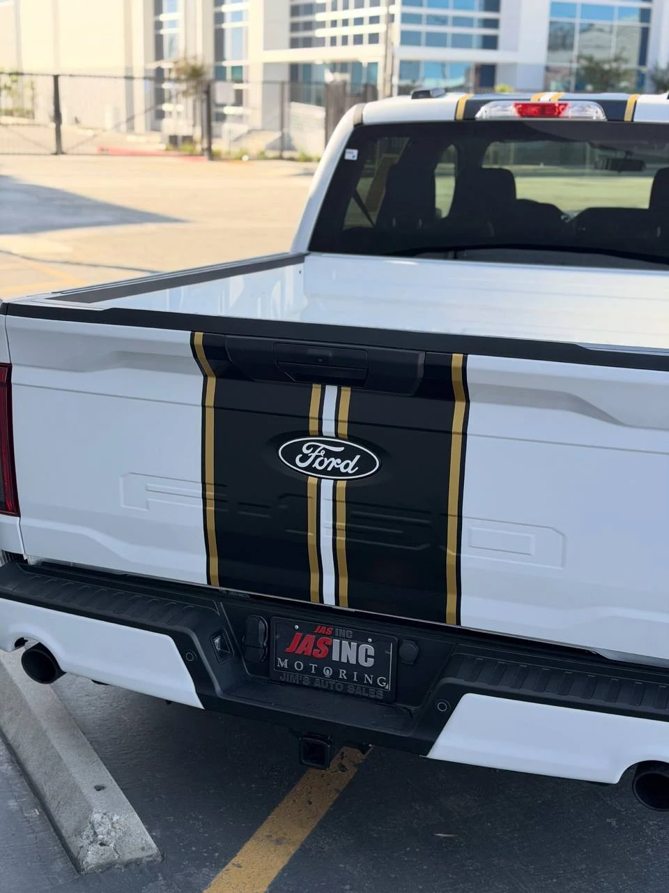 FORD F-150 LOBO — CUSTOM STRIPES, photo 3
