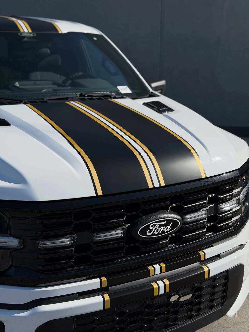 FORD F-150 LOBO — CUSTOM STRIPES, photo 4